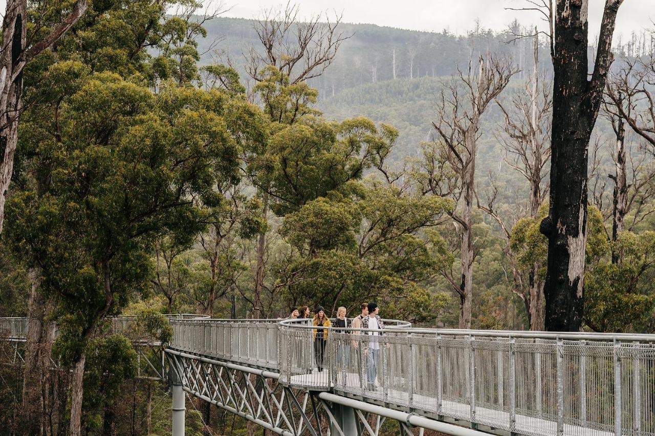 Tahune Airwalk Cabin And Lodge Geeveston Luaran gambar