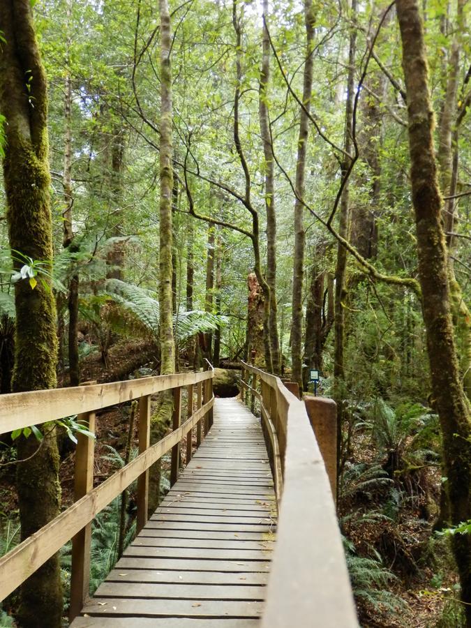 Tahune Airwalk Cabin And Lodge Geeveston Luaran gambar